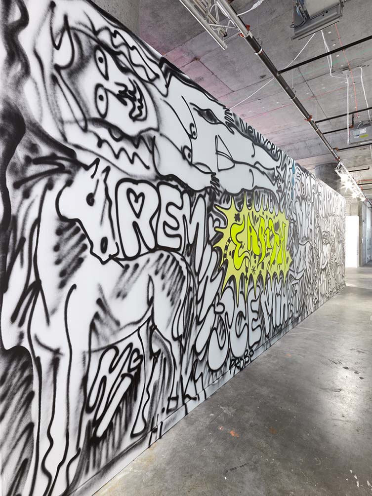 布鲁克林的街头艺术和涂鸦展览
