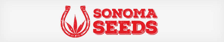 索诺玛的种子