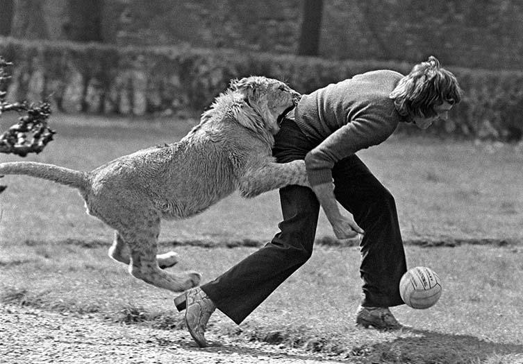 在《摩拉维亚的接近》中，克里斯蒂安在一场足球比赛中绊倒了约翰，这张照片为德里克赢得了1970年伊尔福德世界新闻奖最佳故事片。©德里克Cattani