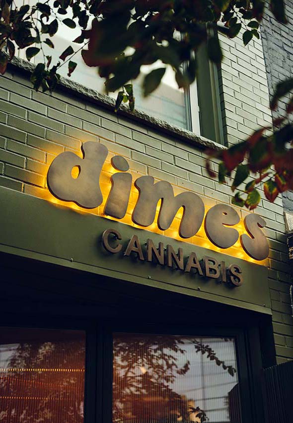 多伦多大麻大麻