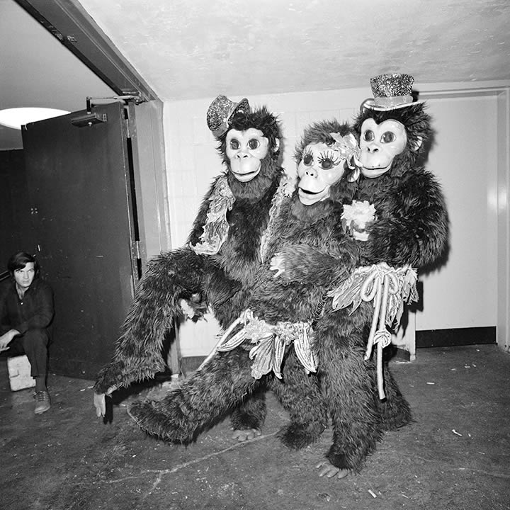 林林兄弟巴纳姆·贝利马戏团，纽约，纽约，1977年4月