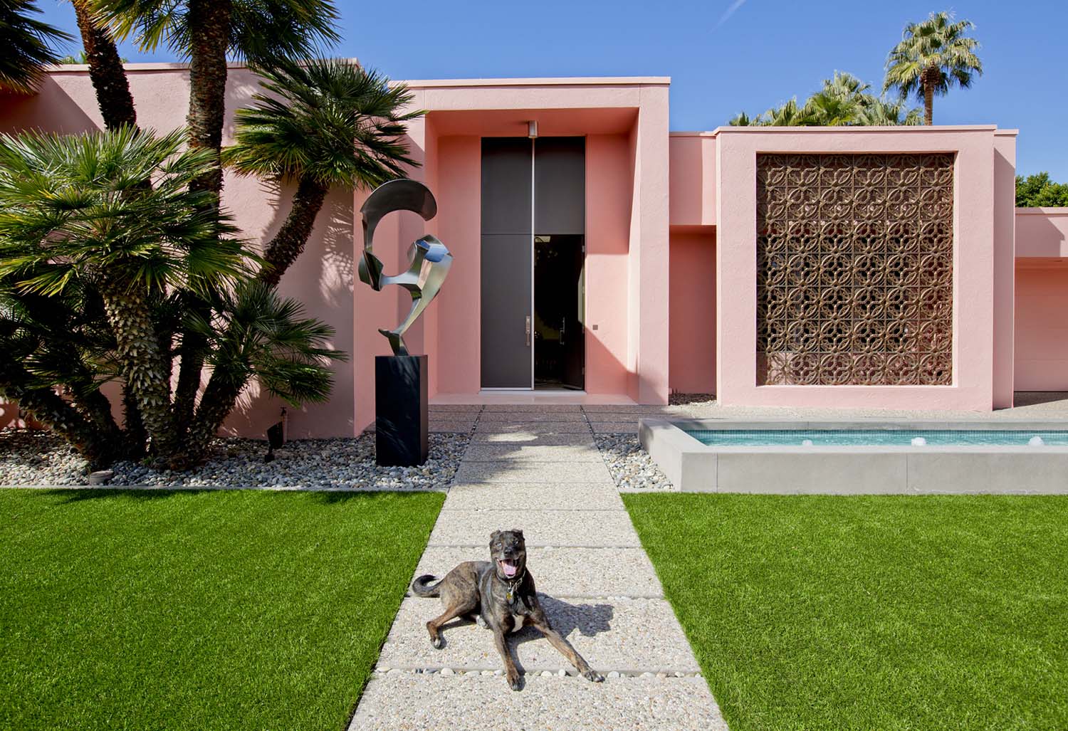 南希·巴伦（Nancy Baron），棕榈泉：现代狗在家