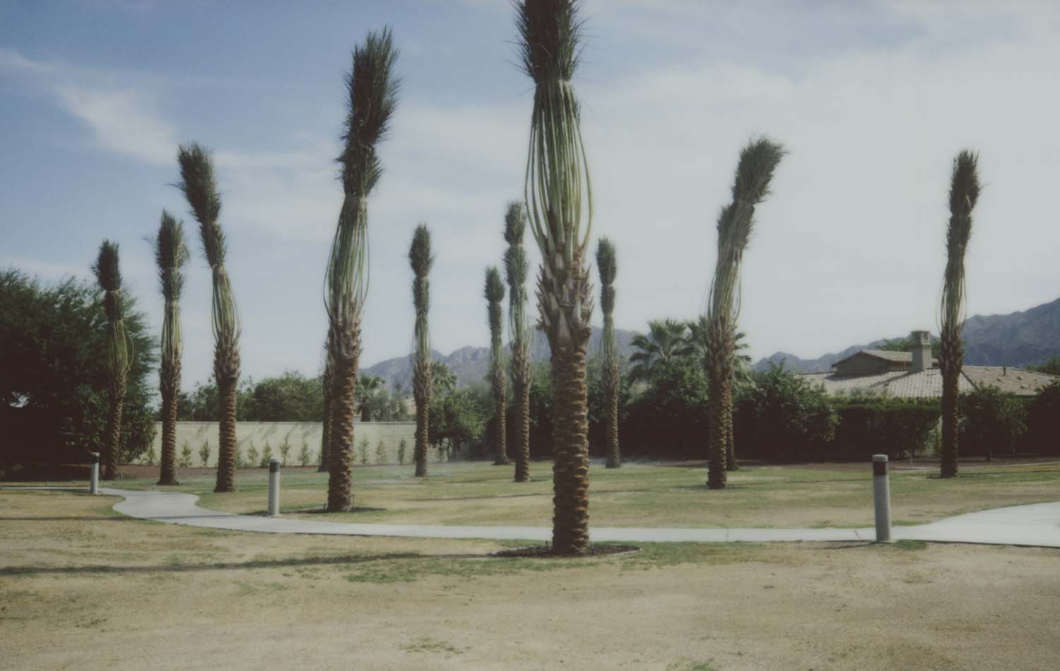 约翰·布莱恩·金，里维埃拉:棕榈泉的照片由Spurl edition出版