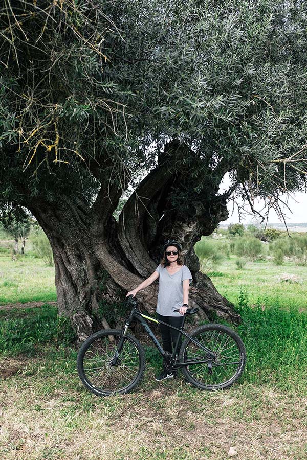 骑上一辆自行车，开始探索吧——一张有插图的地图将带你穿过葡萄园和橄榄园，经过古老的霍姆橡树、距今7000年的新石器时代的石门和menhirs